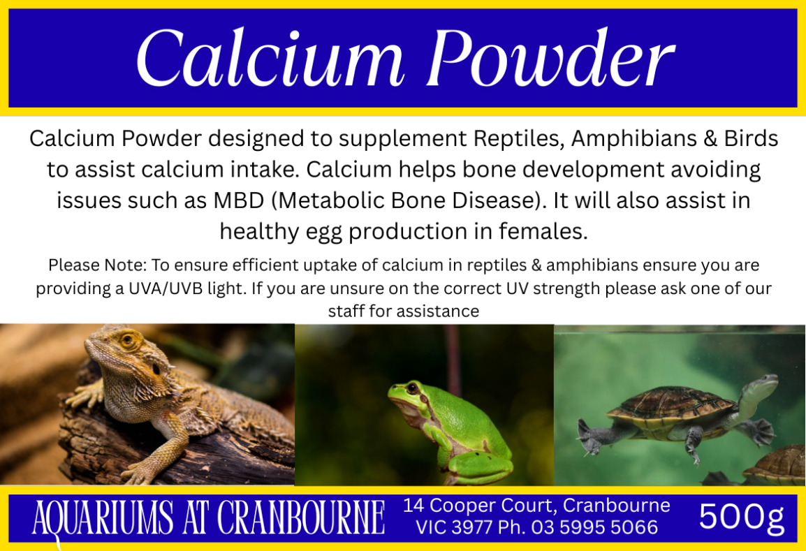 Calcium Powder for Reptile Lizard Snake Turtle Amphibian Bird ...